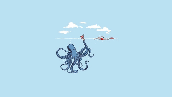 octopus