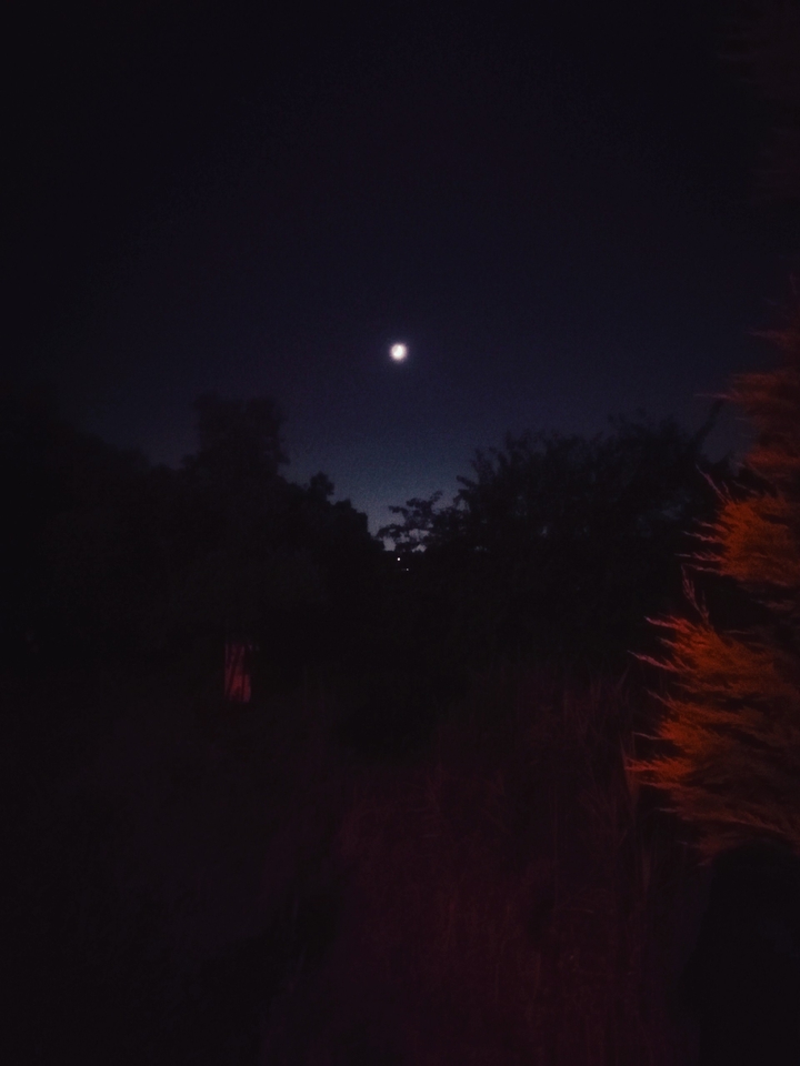 moon and glimmering light in darkness