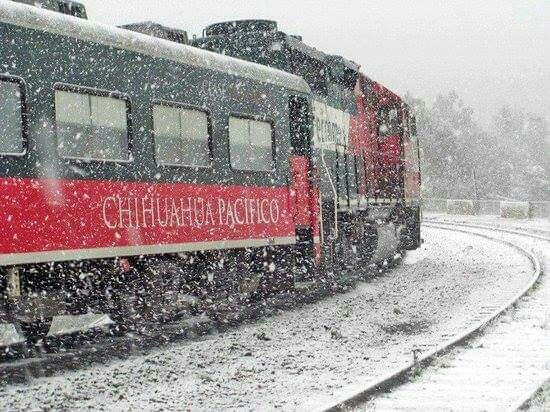 #trenchepe #mexico #chihuahua #nevado