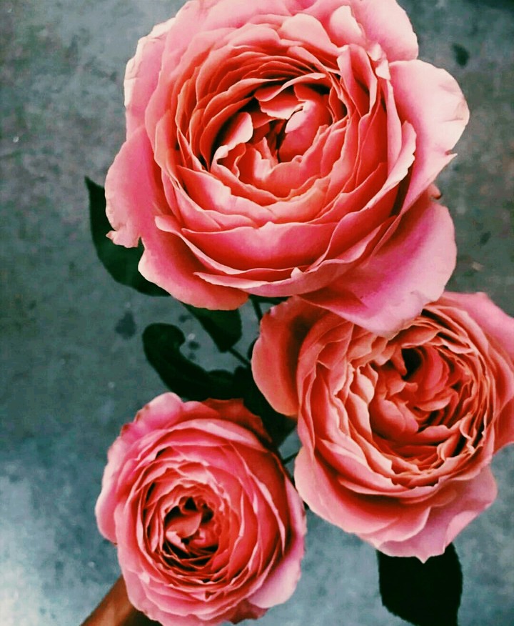 BEAUTİFUL..