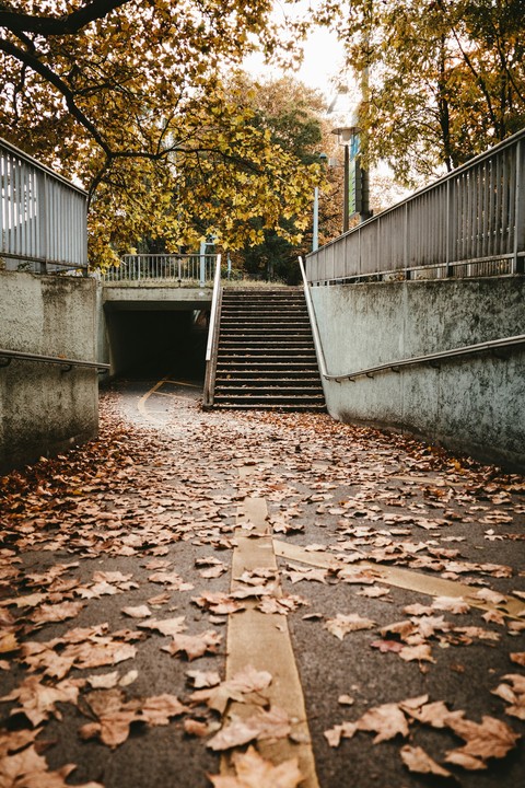 тапети handrail, twig