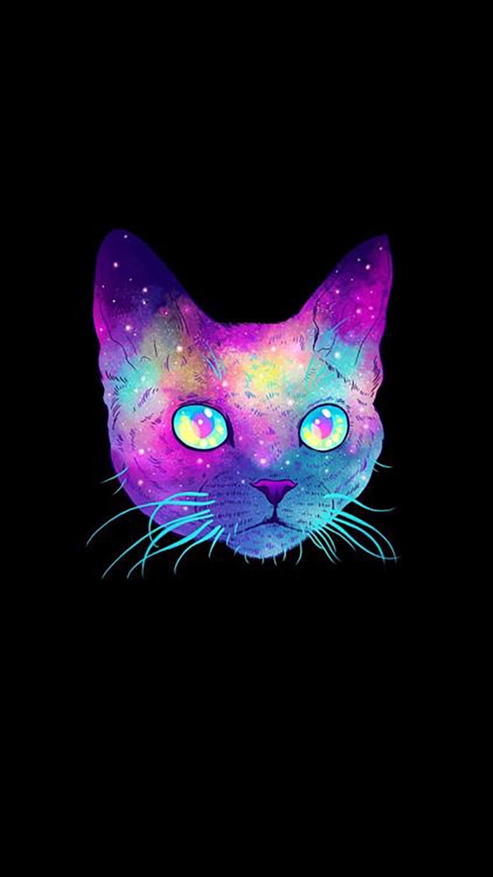 kitty