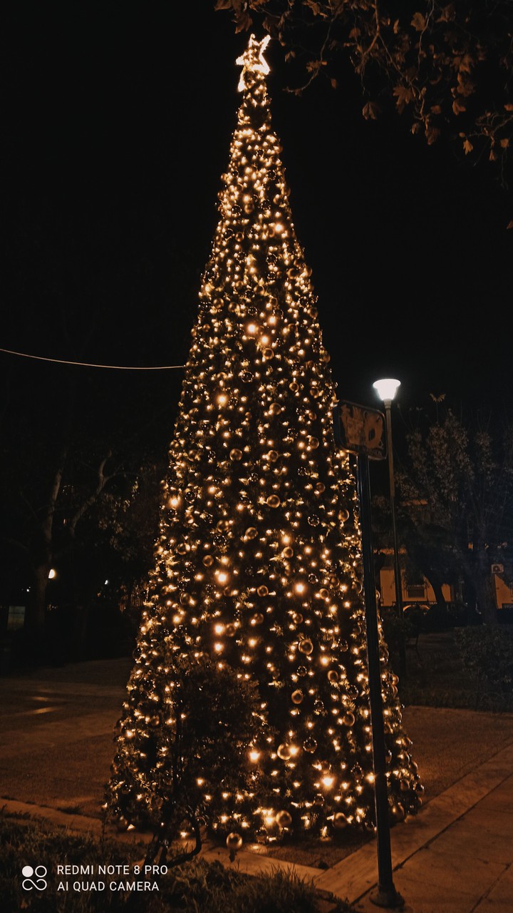 Christmas Tree