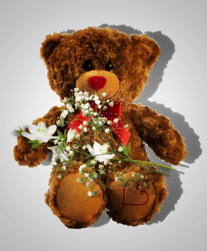 Teddy
