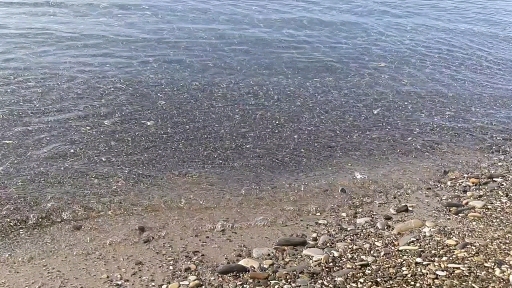 морюшко