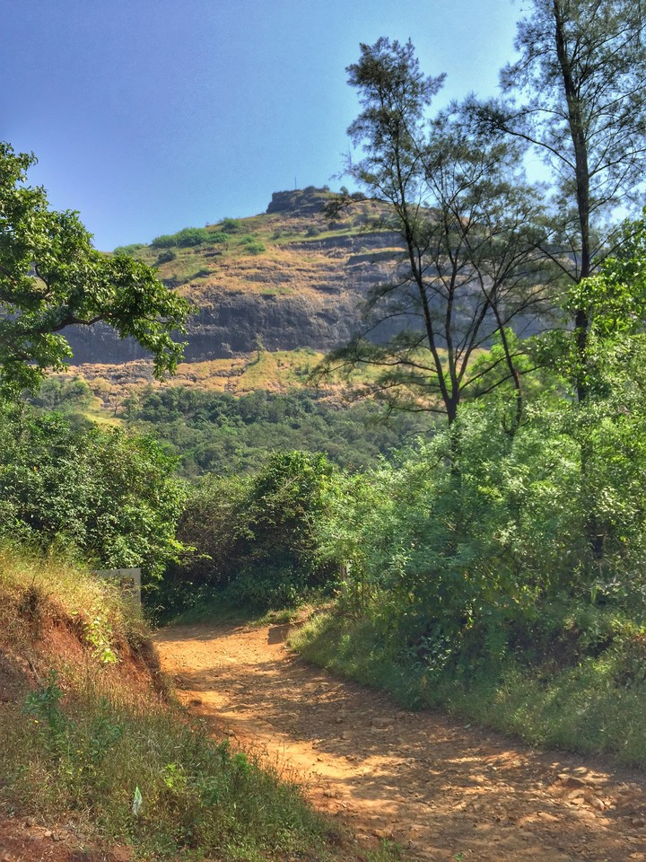 path for life