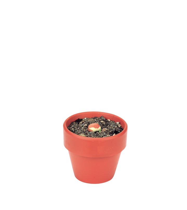 자연이미지
