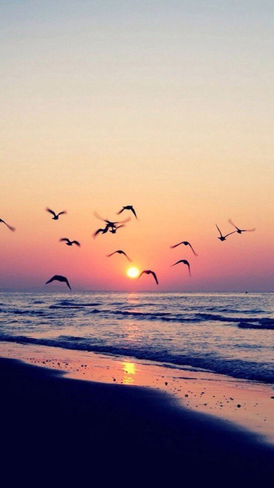 Sea