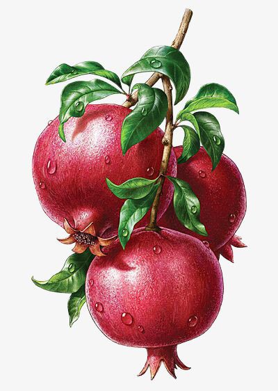 #Anar #Pomegranate