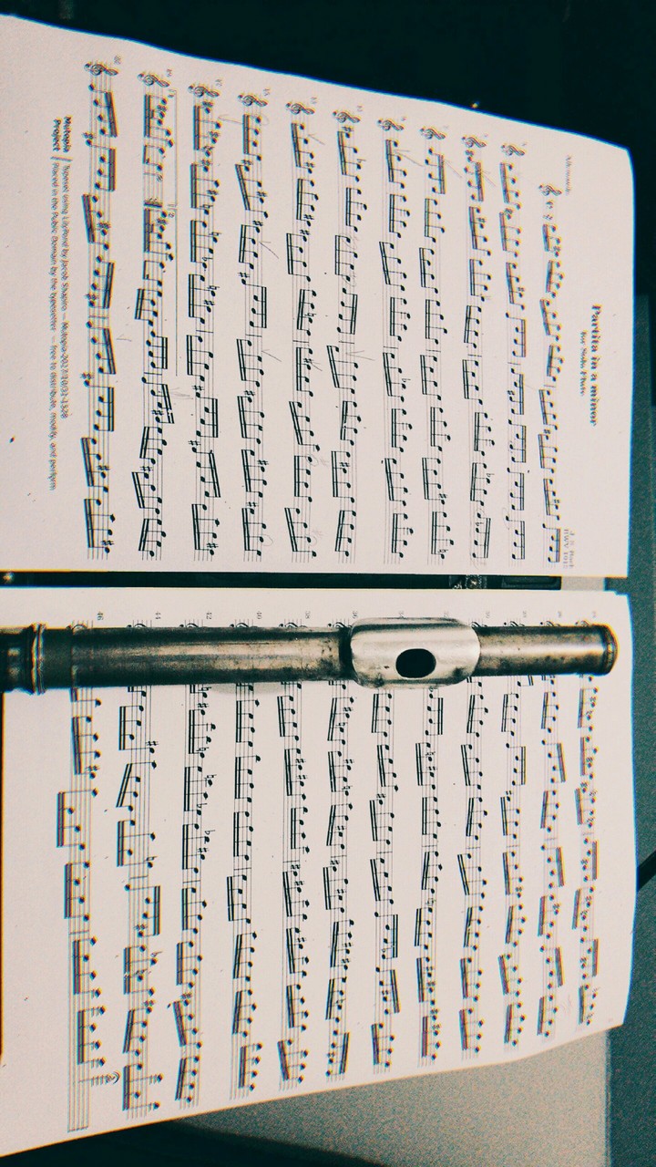 Estudos