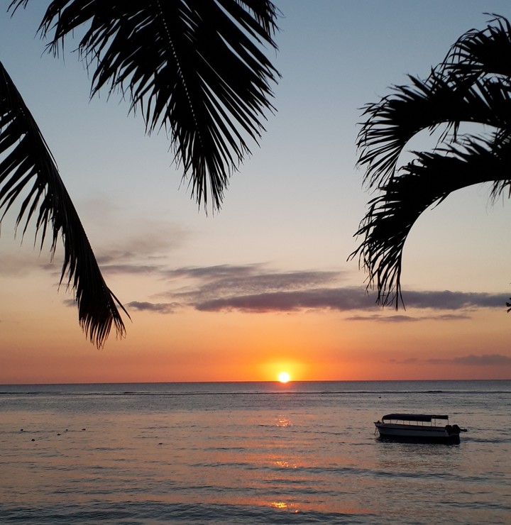 paradise