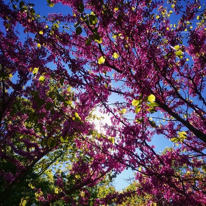 sunny day.