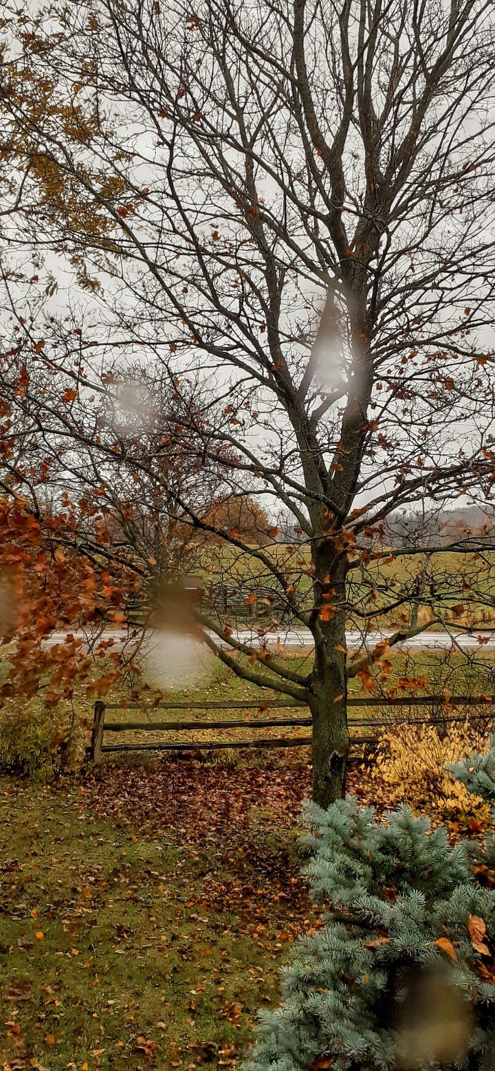 Falling raindrops