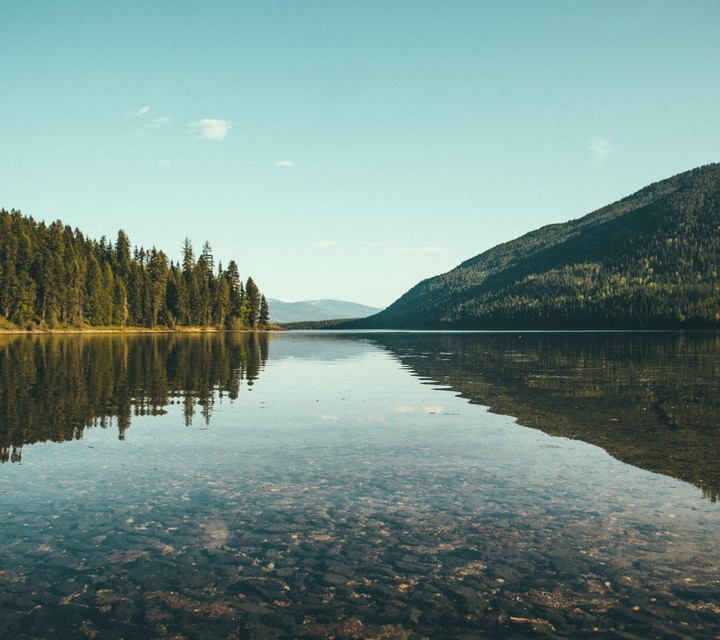 nature