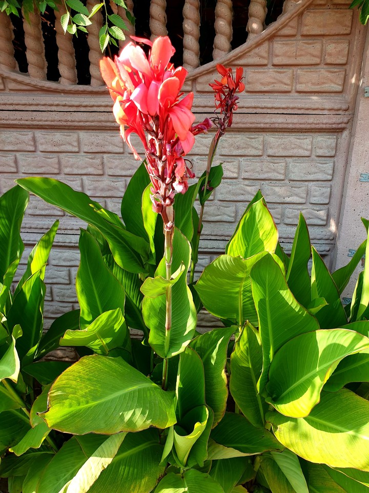 ⚘