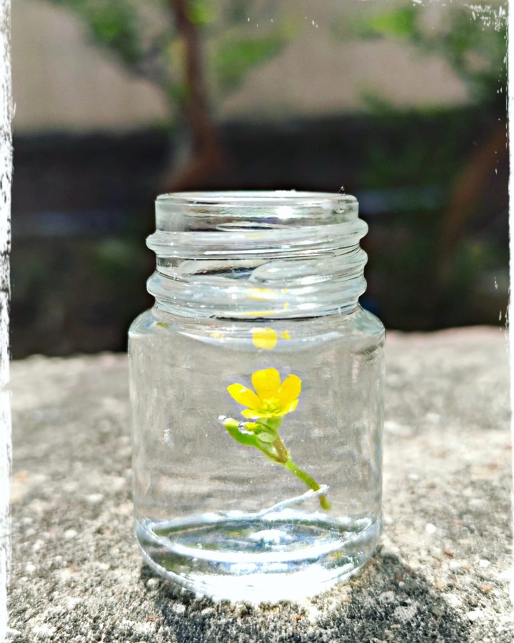 enslaved flower