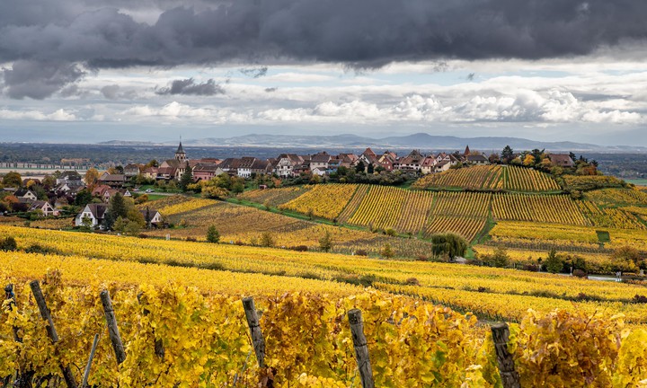 Riquewihr Vineyards, France