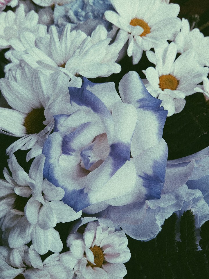 Flowers are my weakness!