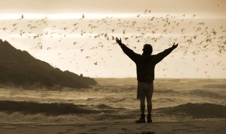 Liberdade