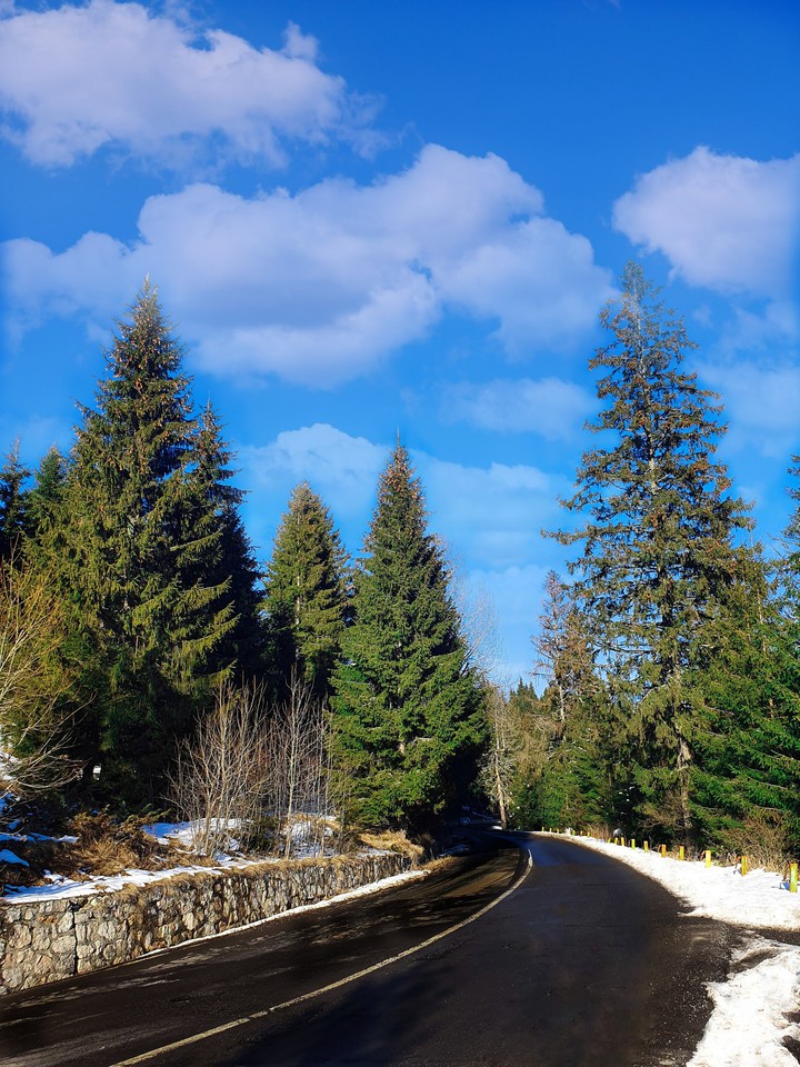 winter forest road