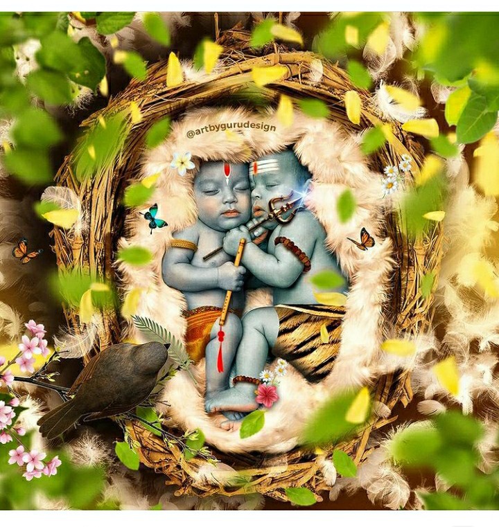 lord Shiva and lord Krishna