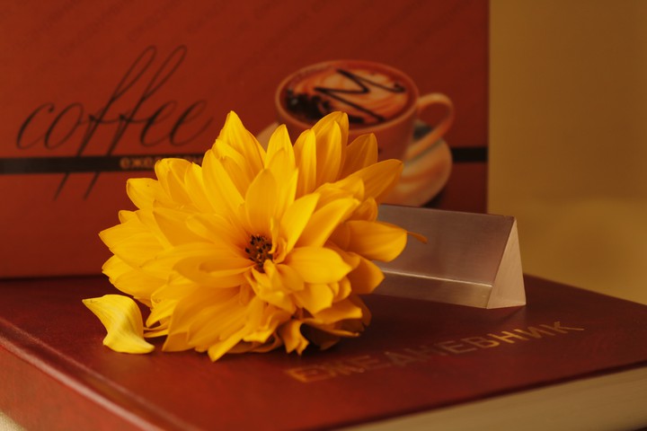 yellow flower