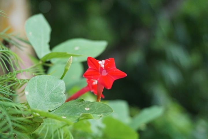 NFT Photography
