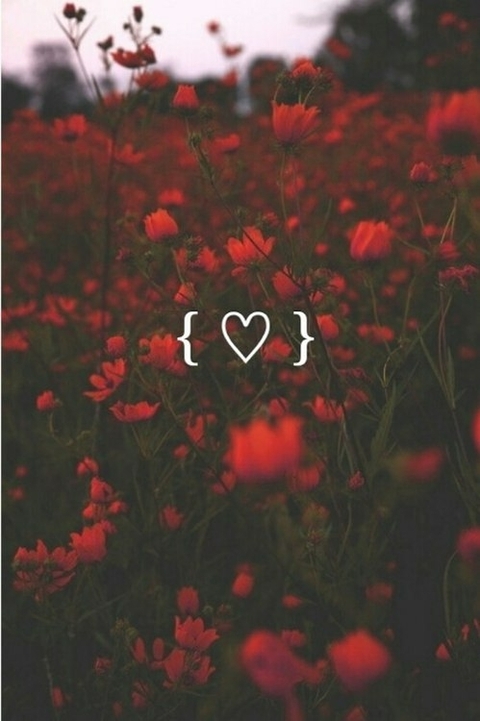 flower, font桌布