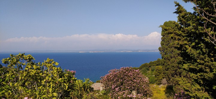 nature