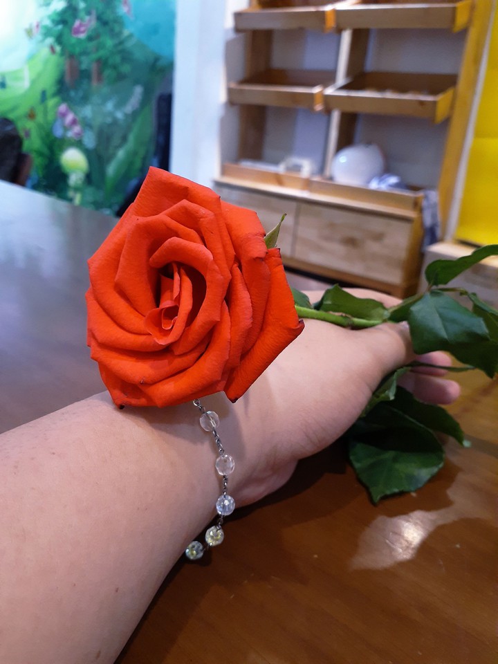 Rose