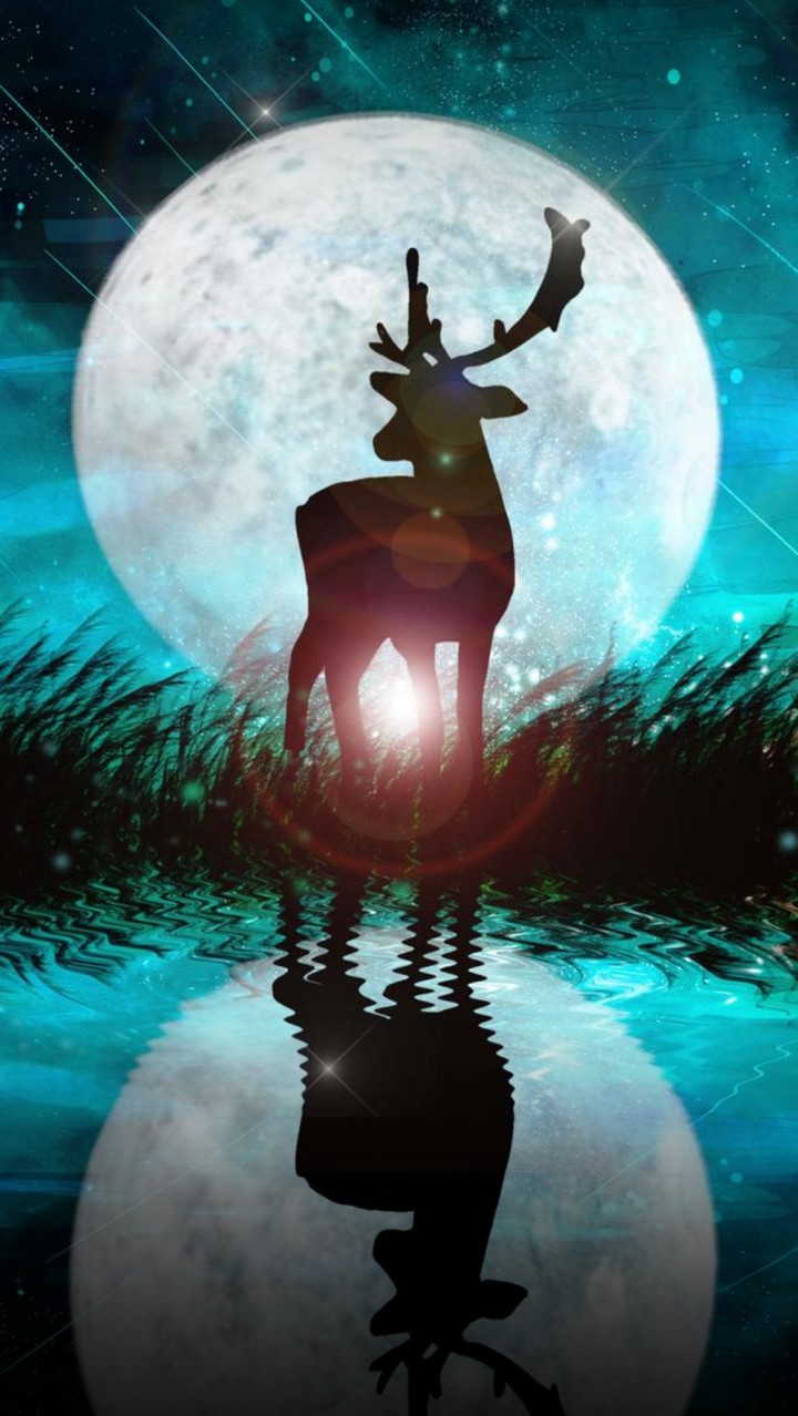 Deer