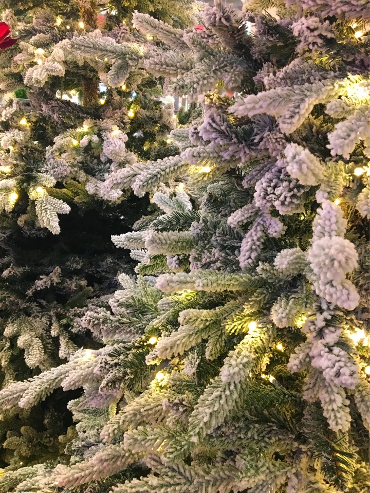 Christmas tree 