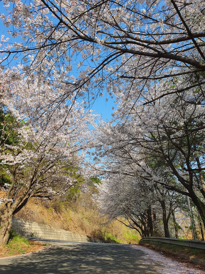 Spring
