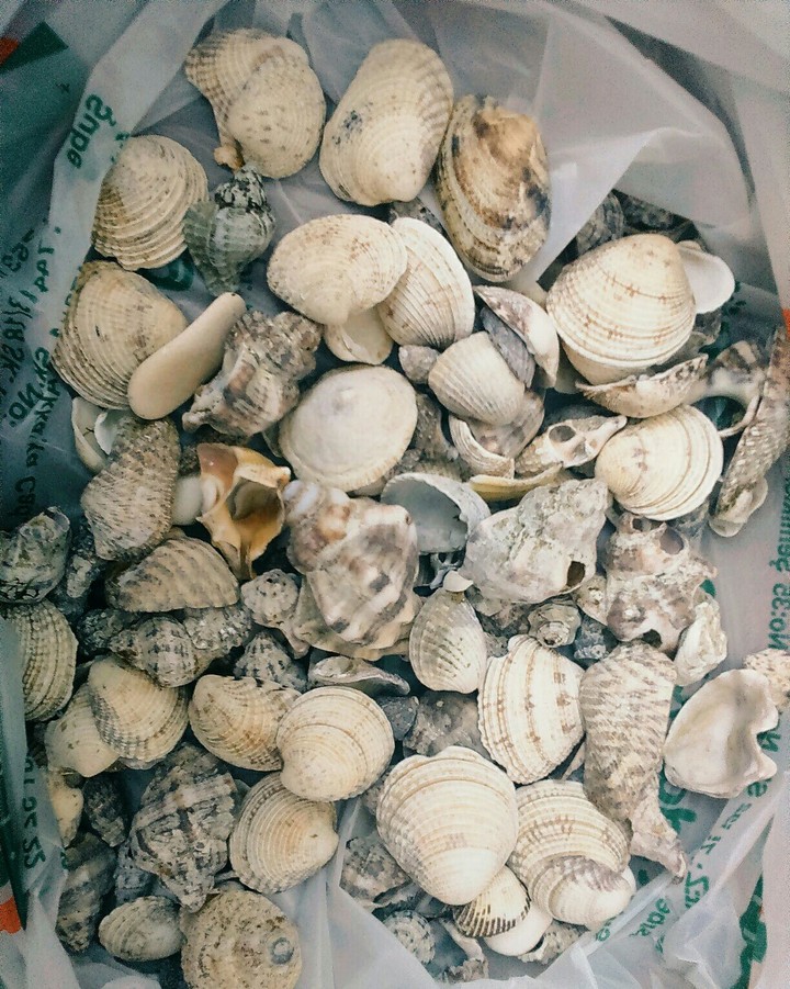 Sea