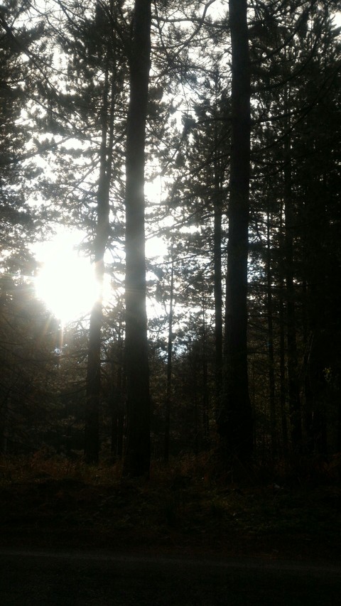 Sun in the mountains