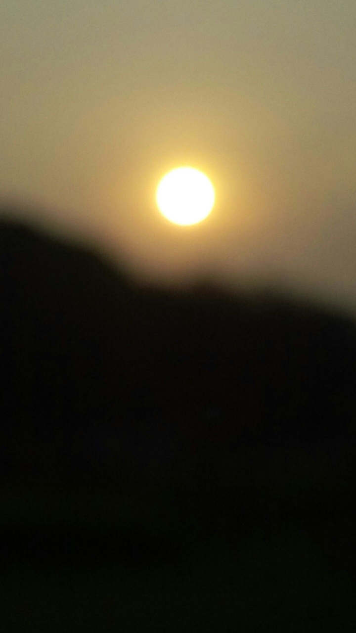 morning sun