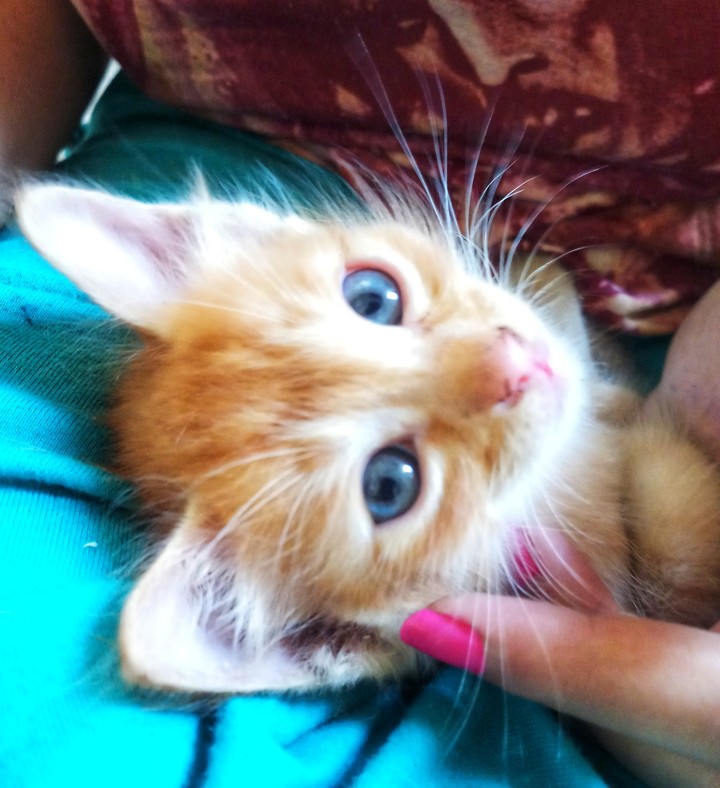 Blue eyes