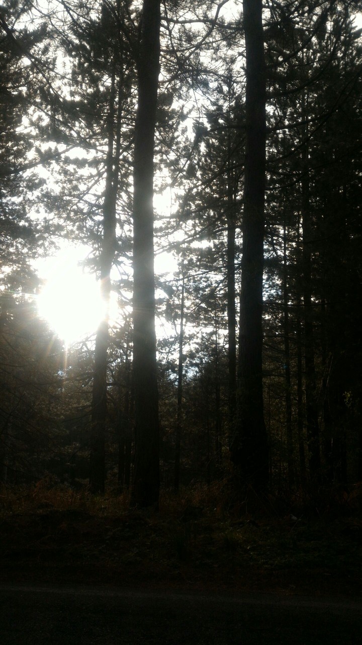 Sun in the mountains