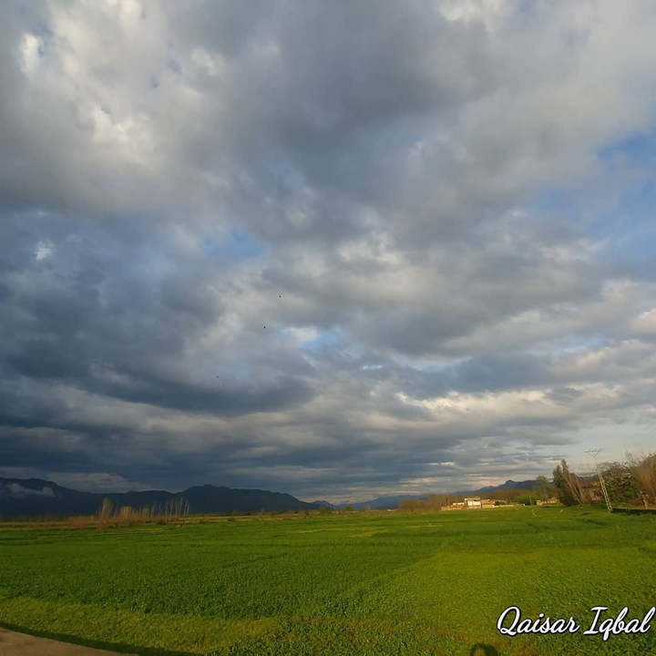 Meadow Clouds