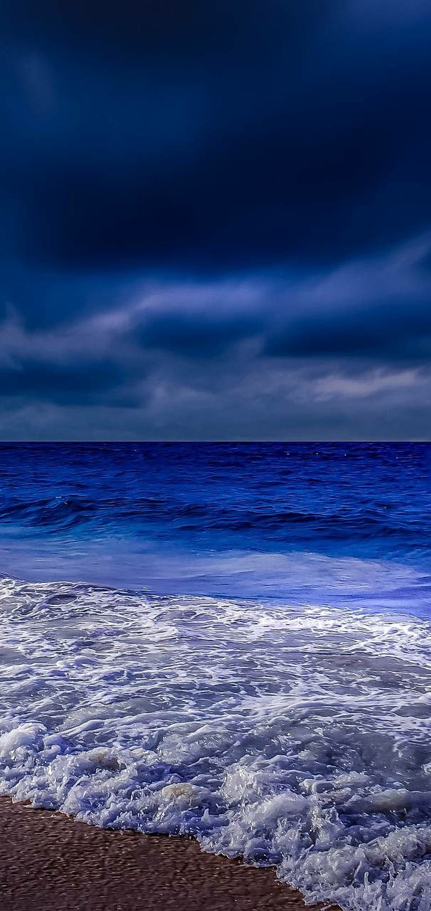 sea night