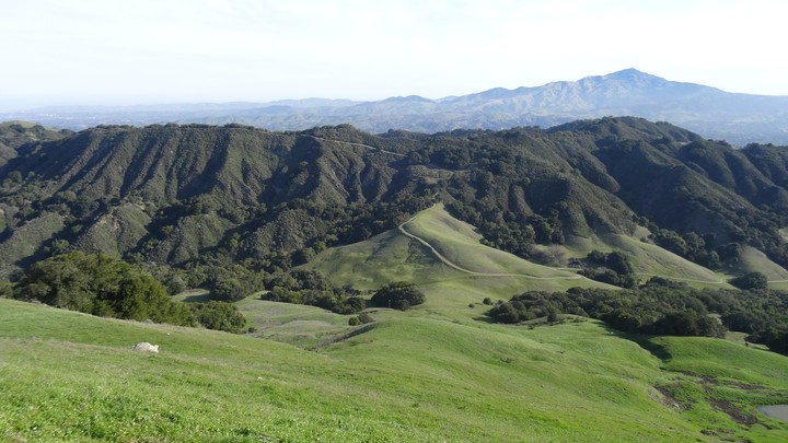 Las Trampas, CA. With Mt. Diablo in the background.
