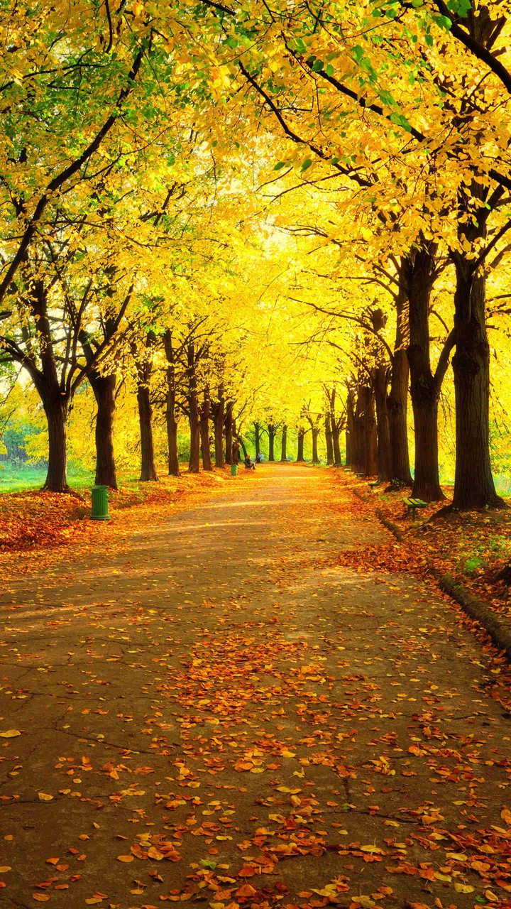 A peaceful place to go ❤