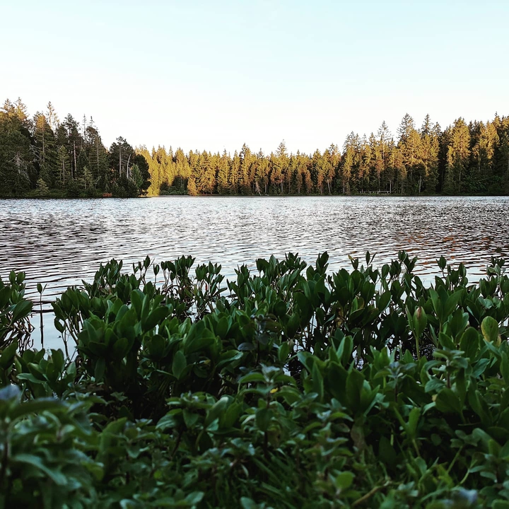 Etang de la Gruere