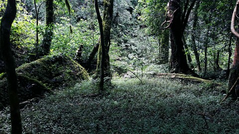 Fairy-tale land