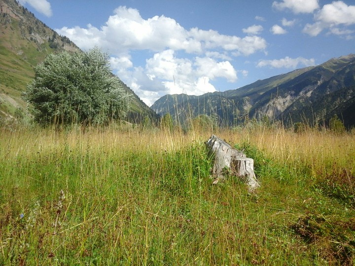 Gurez