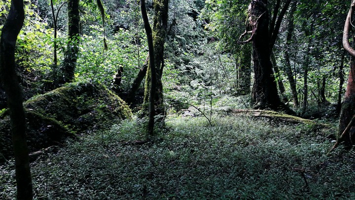 Fairy-tale land