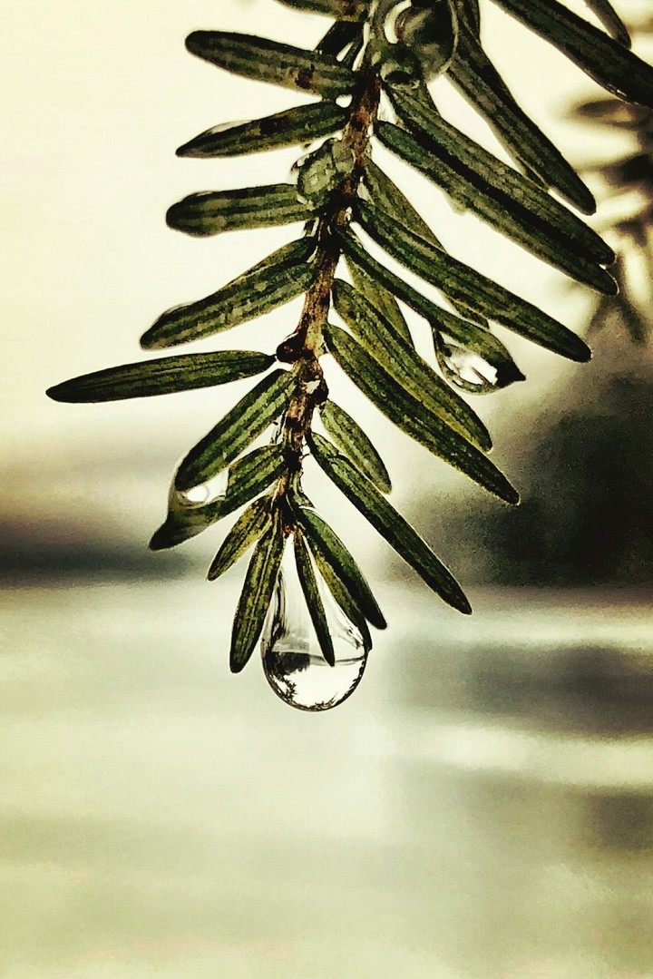 Drop