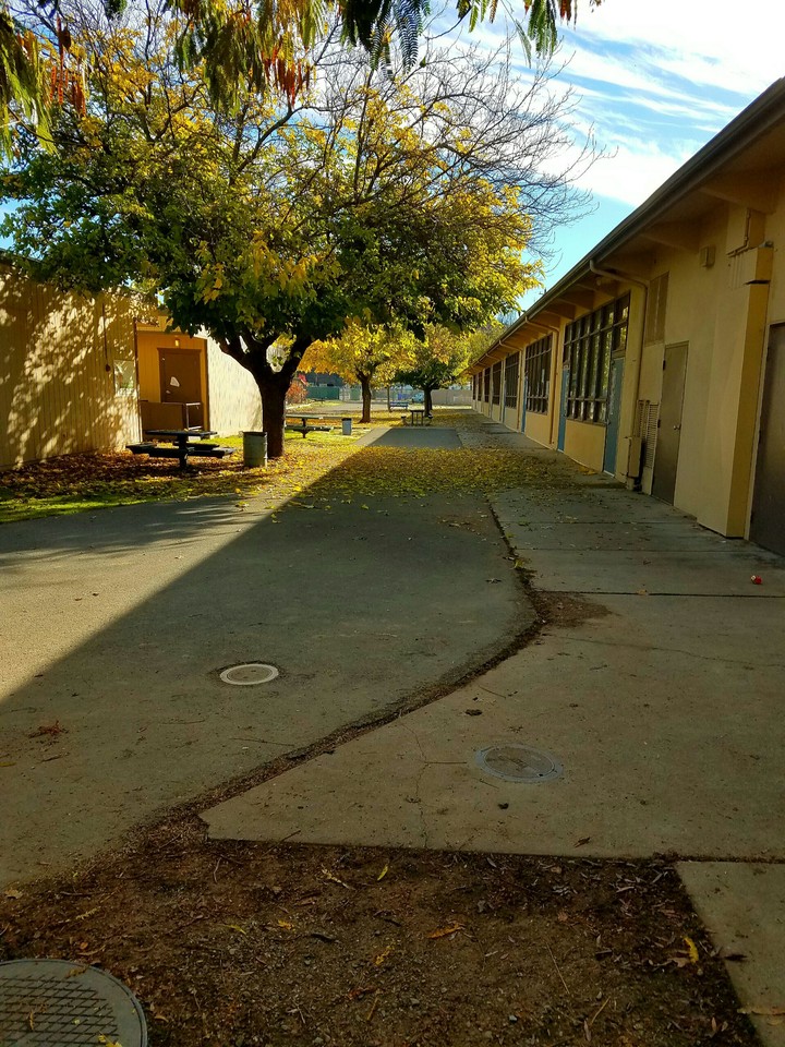 school