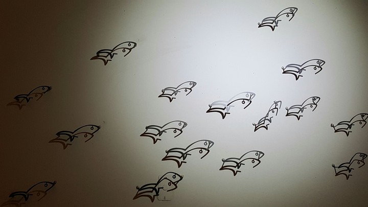 Fish
