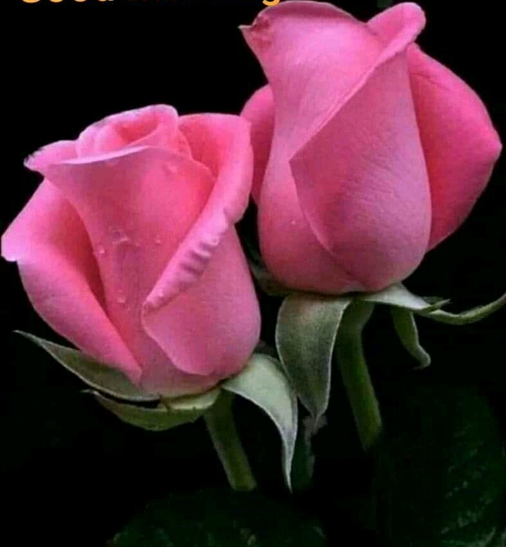 like and follow